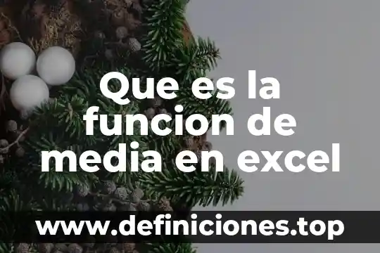 Qué es función de un glucósido 3 Que es la funcion de media en excel