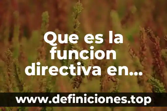 Que es una mal función directiva en preescolar 6 Que es la funcion directiva en mexico