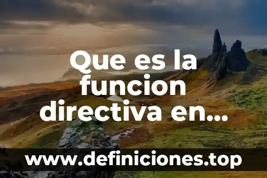 Que es una mal función directiva en preescolar 4 Que es la funcion directiva en preescolar