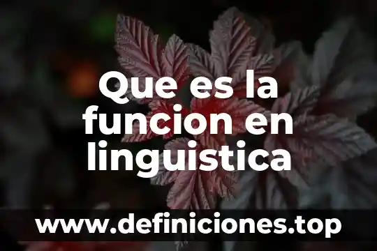 Qué es la lingüística y para qué nos sirve 8 Que es la funcion en linguistica