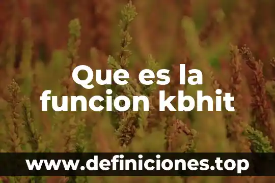 Que es una exprecion de una funcion lin 8 Que es la funcion kbhit