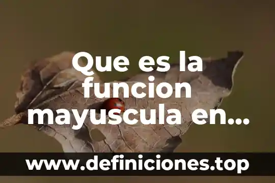 Que es un generador de doble induccion y como funcion 7 Que es la funcion mayuscula en excel