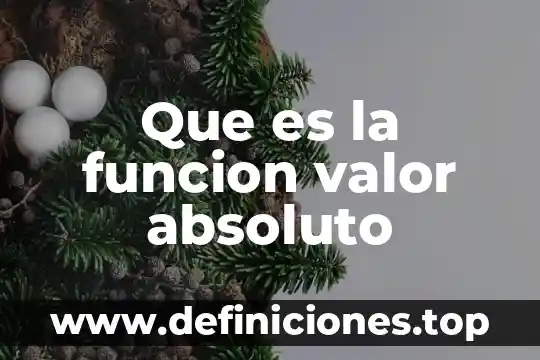 Que es la funcion valor absoluto