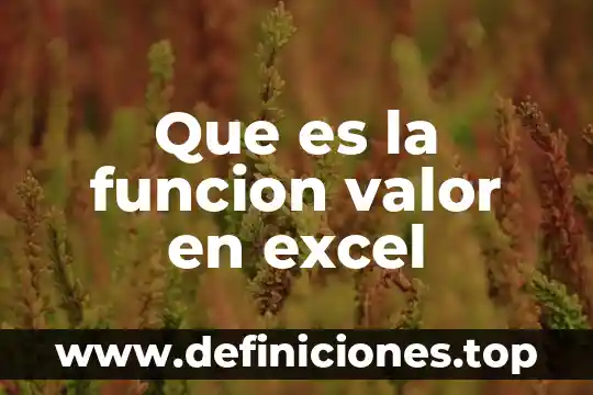 Que es valor presente del dinero 4 Que es la funcion valor en excel