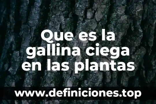 Que es el rendimiento en plantas 6 Que es la gallina ciega en las plantas