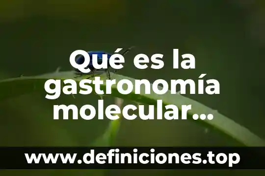 Que es la espiritualidad segun autores 3 Qué es la gastronomía molecular según