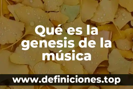 Qué es el dinero genesis objetivos funciones etc 5 Qué es la genesis de la música