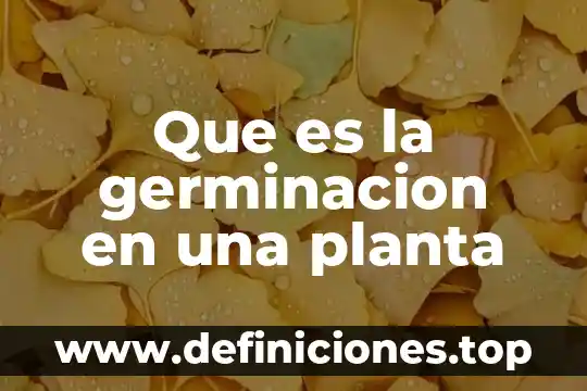 Que es la germinacion en una planta