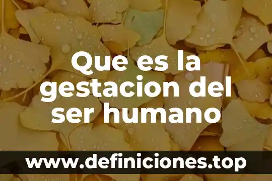 Que es la gestacion del ser humano