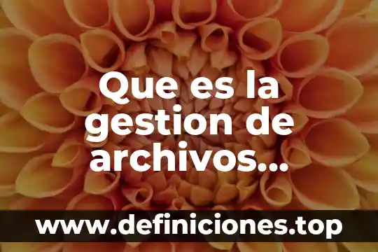 Para que es util el termometro para niños 3 Que es la gestion de archivos ventajas y desventajas