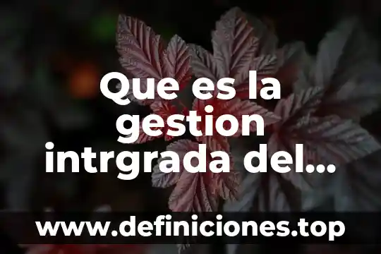 Que es la gestion intrgrada del agua