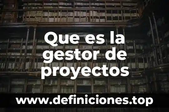 Que es la gestor de proyectos