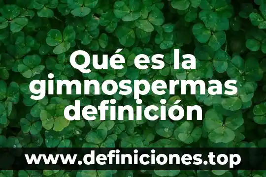 Qué es la gimnospermas definición