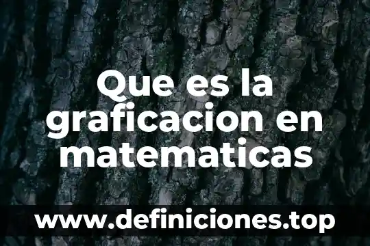 Qué es término en matemáticas 8 Que es la graficacion en matematicas