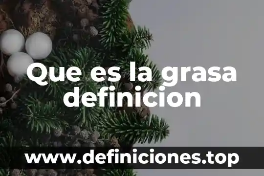 Que es la grasa definicion