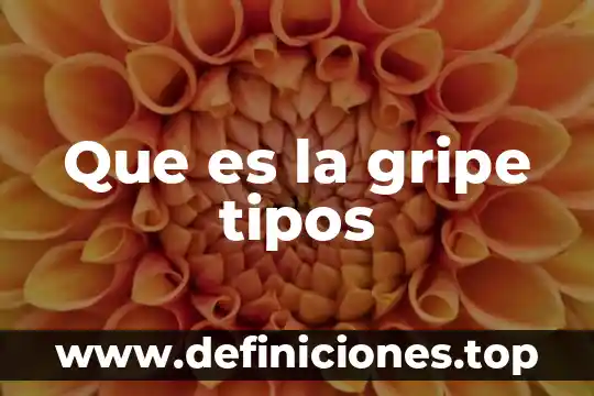 Que es la gripe tipos