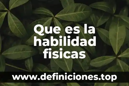 Qué es una unidad de funciones físicas 5 Que es la habilidad fisicas