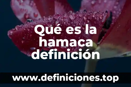 Qué es la hamaca definición