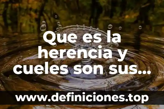 Qué es que son los lápices en arte 8 Que es la herencia y cueles son sus funciones