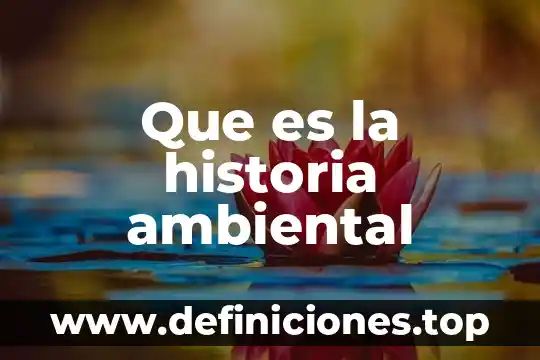 Que es la historia quinica 7 Que es la historia ambiental
