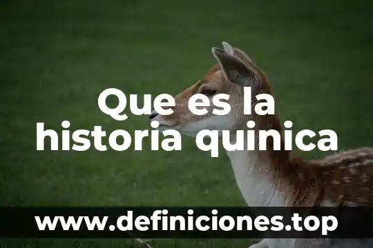 Que es historia natural 3 Que es la historia quinica