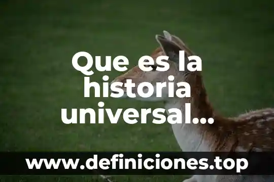 Que es cultura universal concepto 7 Que es la historia universal segun hegel