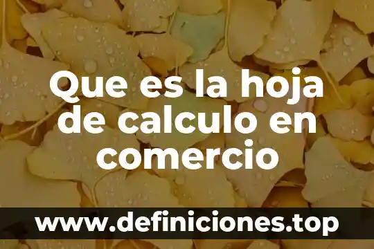 Que es la hoja de calculo en comercio