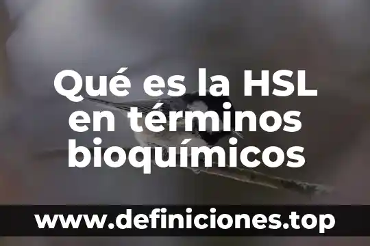 Qué es una firma en términos corporativos 7 Qué es la HSL en términos bioquímicos
