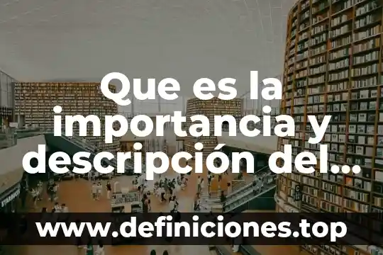 Qué es intuitivas en clasificación y descripción de técnicas 7 Que es la importancia y descripción del personaje