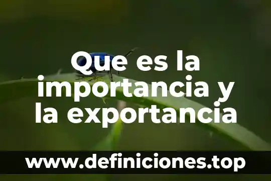 Que es la importancia y la exportancia
