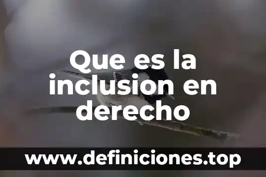 Que es pornografias de hombres 6 Que es la inclusion en derecho