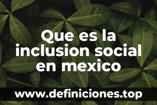 Qué es el principio de inclusión social 8 Que es la inclusion social en mexico