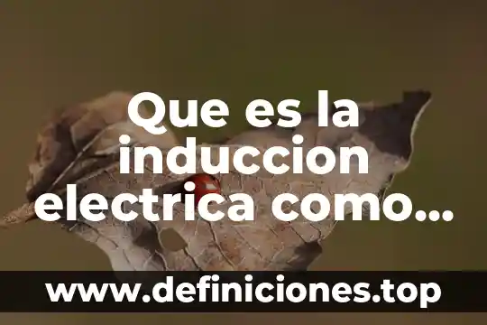 Qué es fuerza eléctrica 4 Que es la induccion electrica como se manifiesta