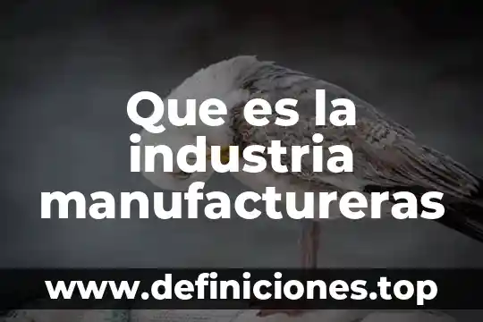 Que es la industria manufactureras