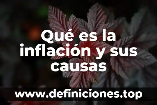 Que es la inflacion moderada en economia 4 Qué es la inflación y sus causas
