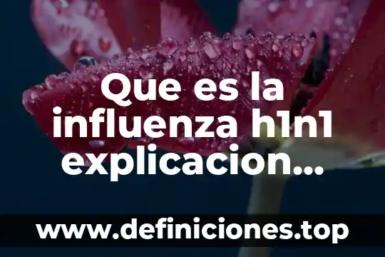 Que es la influenza h1n1 explicacion para niños