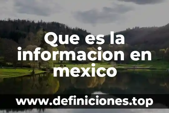 Para que es importante la bandera de México 6 Que es la informacion en mexico