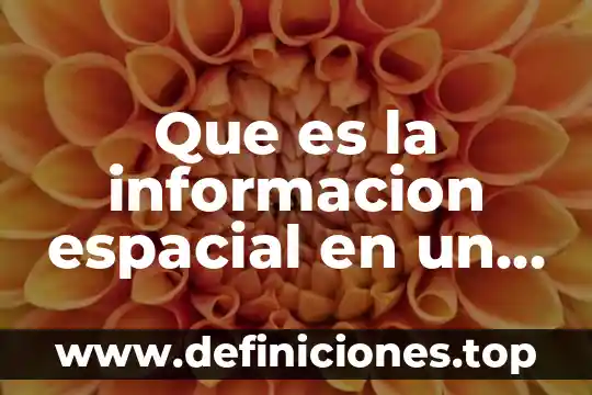 Que es la informacion registral tic 5 Que es la informacion espacial en un sig
