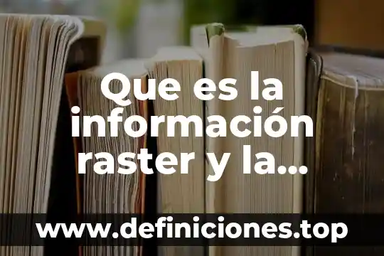 Que es un cromatograma y que informacion puedo obtener 3 Que es la información raster y la vectorial