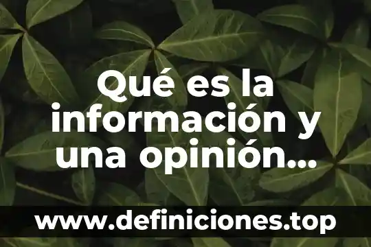 Que es un argumento una opinion y un dato 3 Qué es la información y una opinión personal
