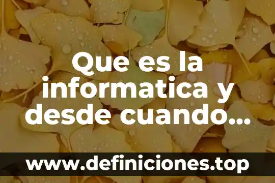 Que es la informatica y desde cuando existe como disciplina