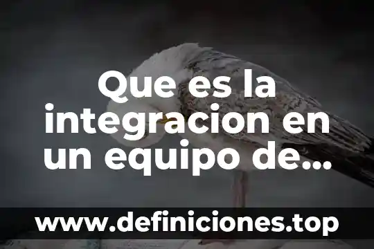 Que es un repositorio de informacion 7 Que es la integracion en un equipo de trabajo
