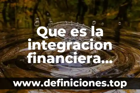 Que es mejor merional o merapur 4 Que es la integracion financiera internacional