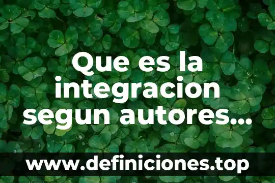 Qué es un juego li 5 Que es la integracion segun autores li