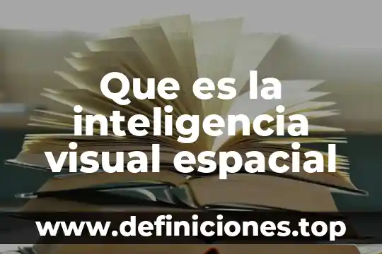 Qué es la masa espacial 5 Que es la inteligencia visual espacial