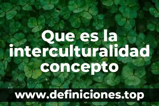 Que es la interculturalidad concepto