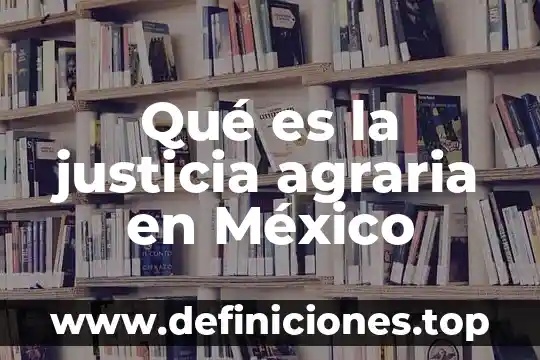 Que es la justicia social buscarla en power point 8 Qué es la justicia agraria en México