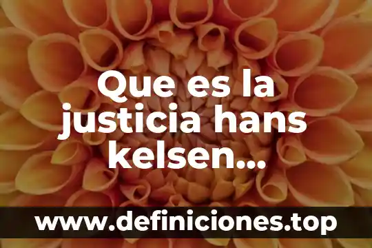 Qué es el coxis resumen 3 Que es la justicia hans kelsen resumen