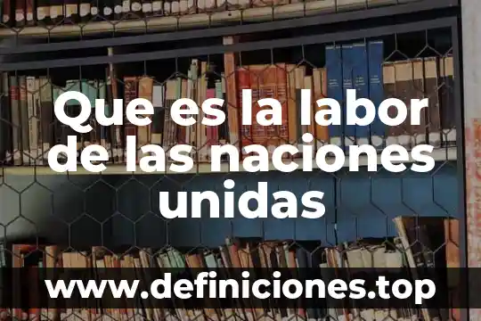 Que es la labor de las naciones unidas