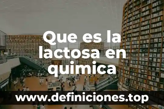 Que es la lactosa en quimica